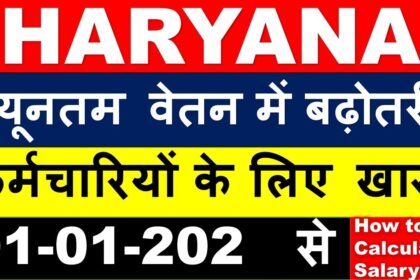 haryana minimum wages