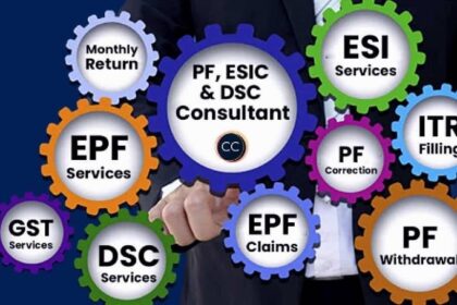 Online PF Consultant