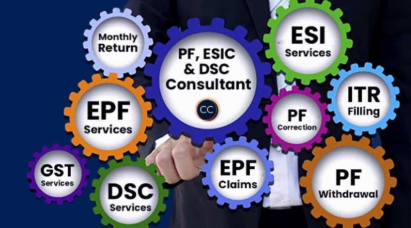 Online PF Consultant